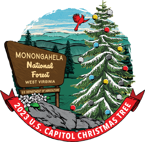 U.S. Capitol Christmas Tree 2023