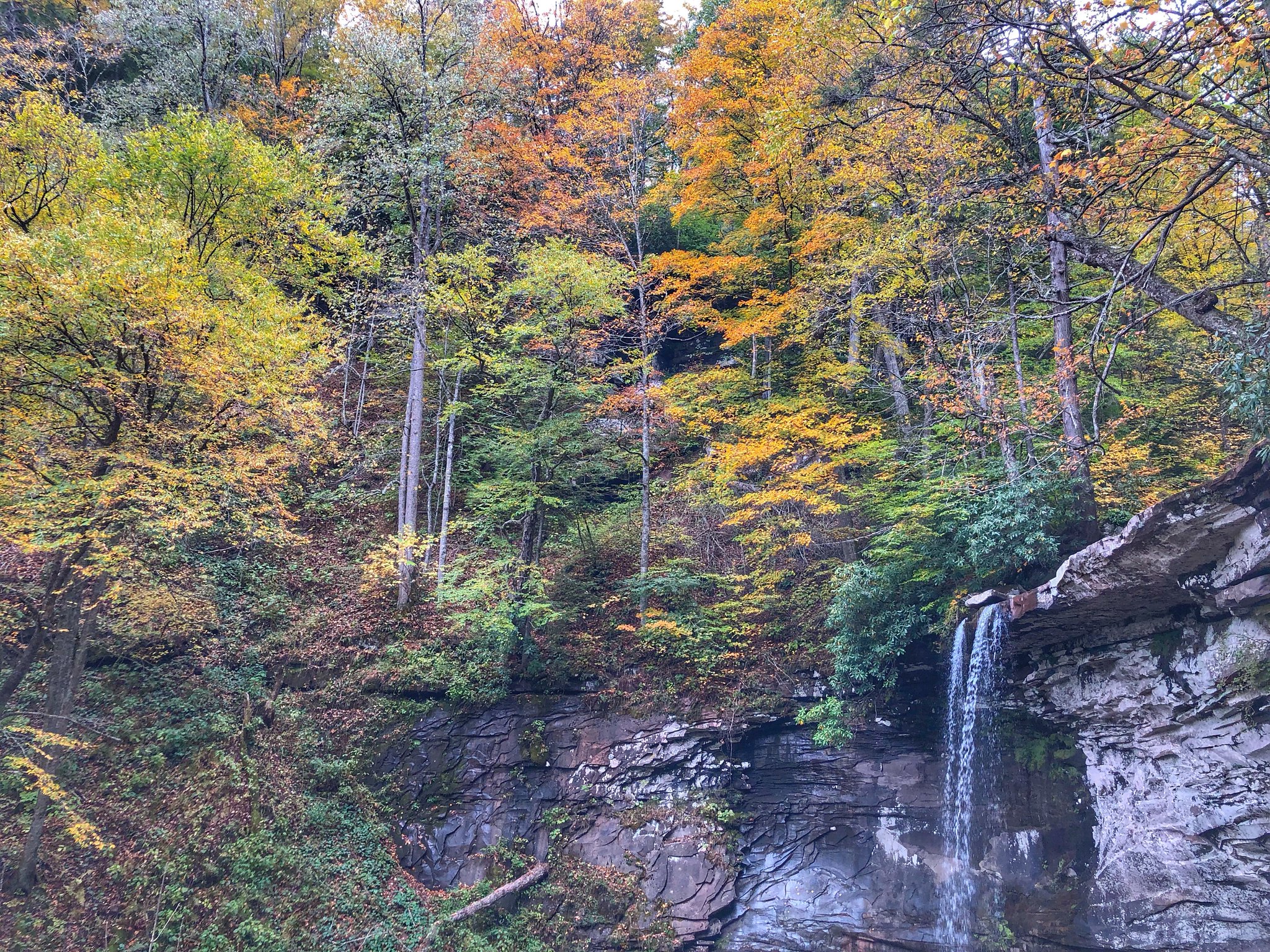 Falls of Hills Creek