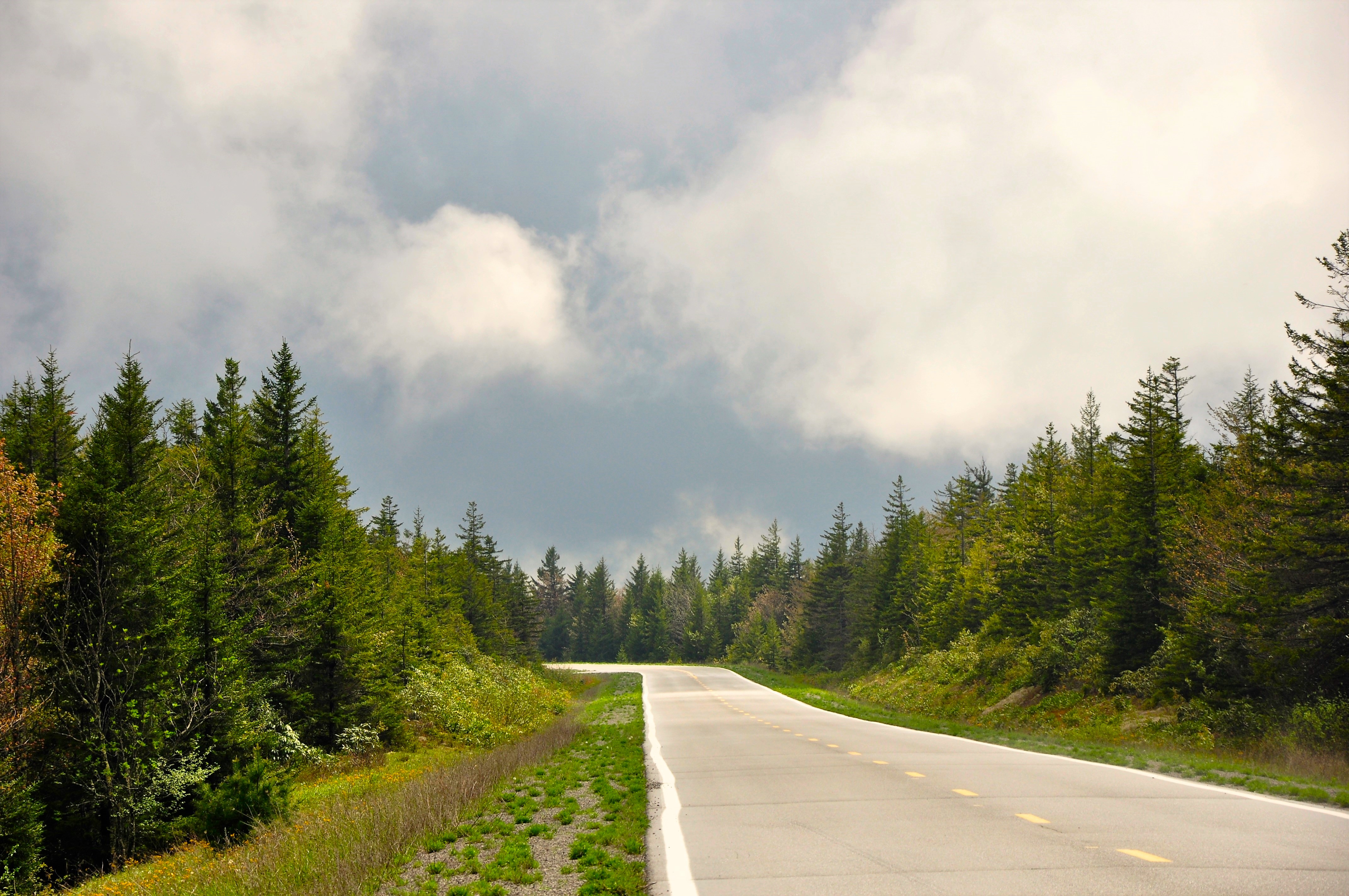 Highland Scenic Highway