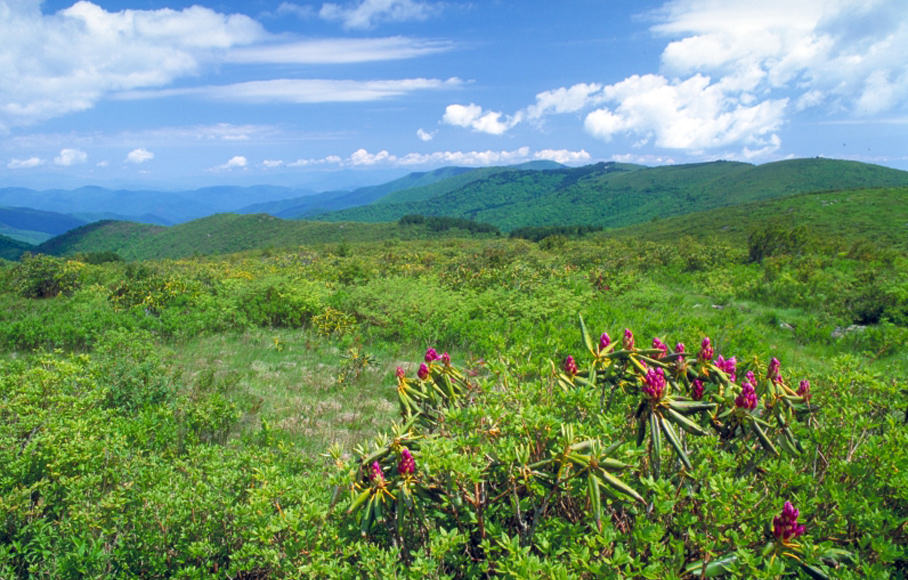 Pisgah Forest Ranger Station & Visitor Center