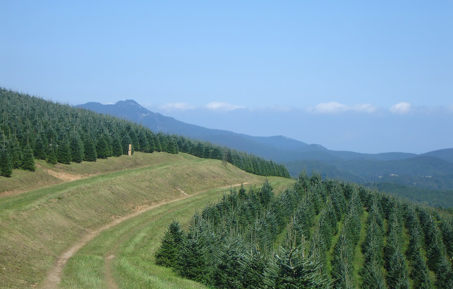 Avery County Cooperative Extension Center